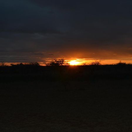 Wild Amboseli Ndovu Cottage. Exterior foto