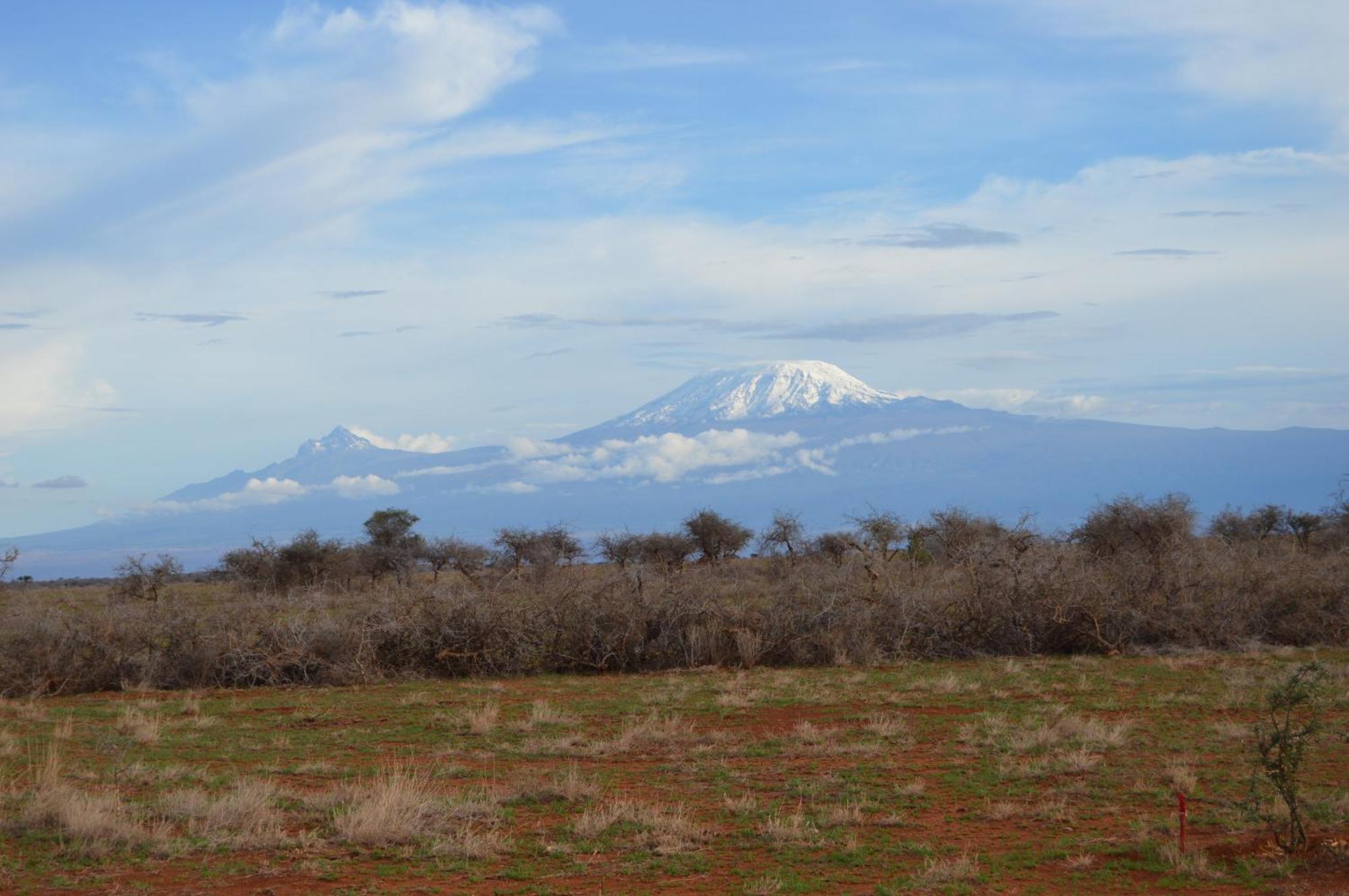 Wild Amboseli Ndovu Cottage. Exterior foto